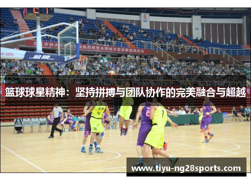 篮球球星精神：坚持拼搏与团队协作的完美融合与超越