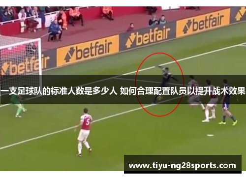 一支足球队的标准人数是多少人 如何合理配置队员以提升战术效果